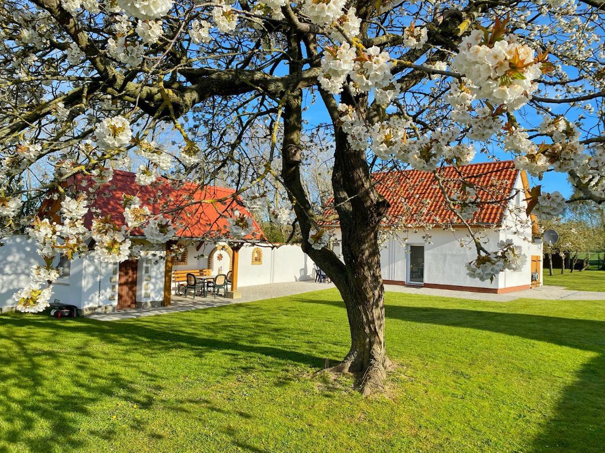 Ferienhaus Berta Sassnitz Exteriör bild